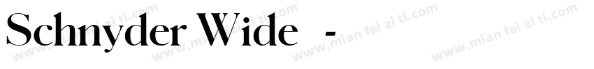 Schnyder Wide 字体字体转换